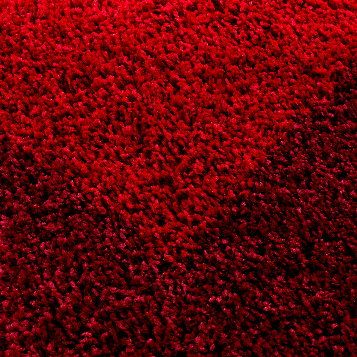 Shaggy Teppich Hochflor Langflor Wohnzimmer Teppich Gemustert in Bordüre Design