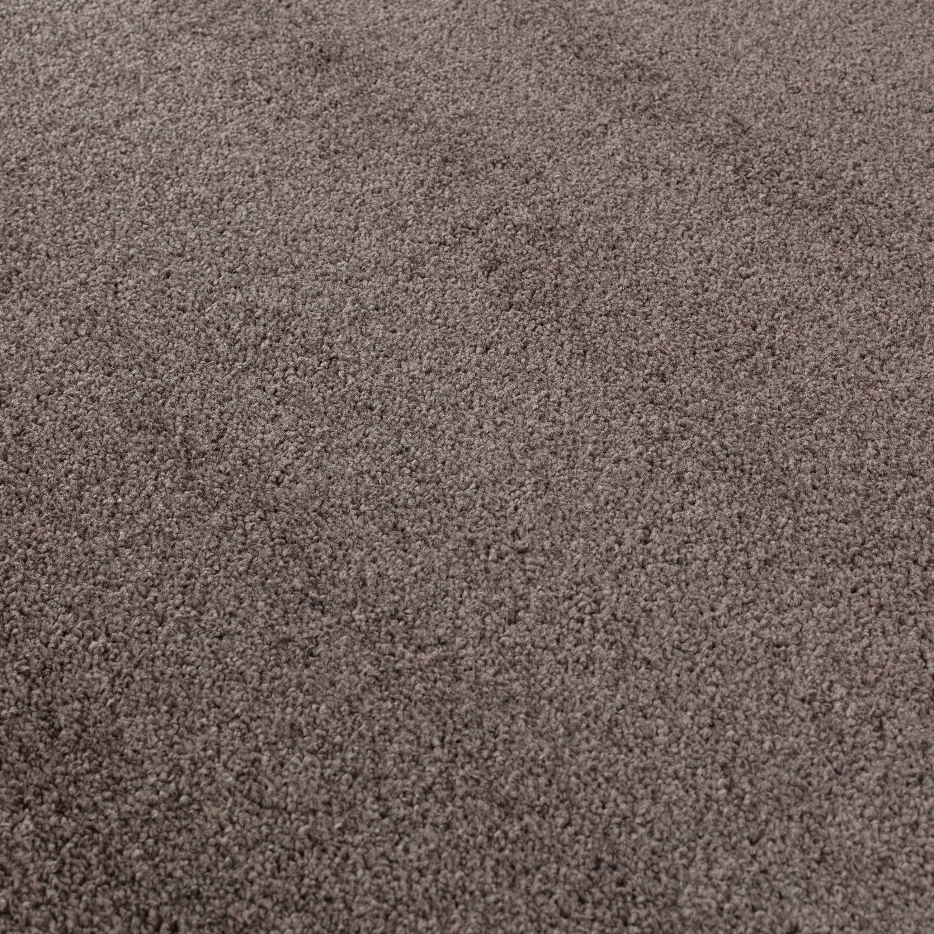 Solid color rug for living room, bedroom, kitchen, short pile, soft, mocha