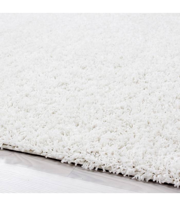 Tapis à poils longs à poils longs, tapis de salon, doux, uni en 14 couleurs